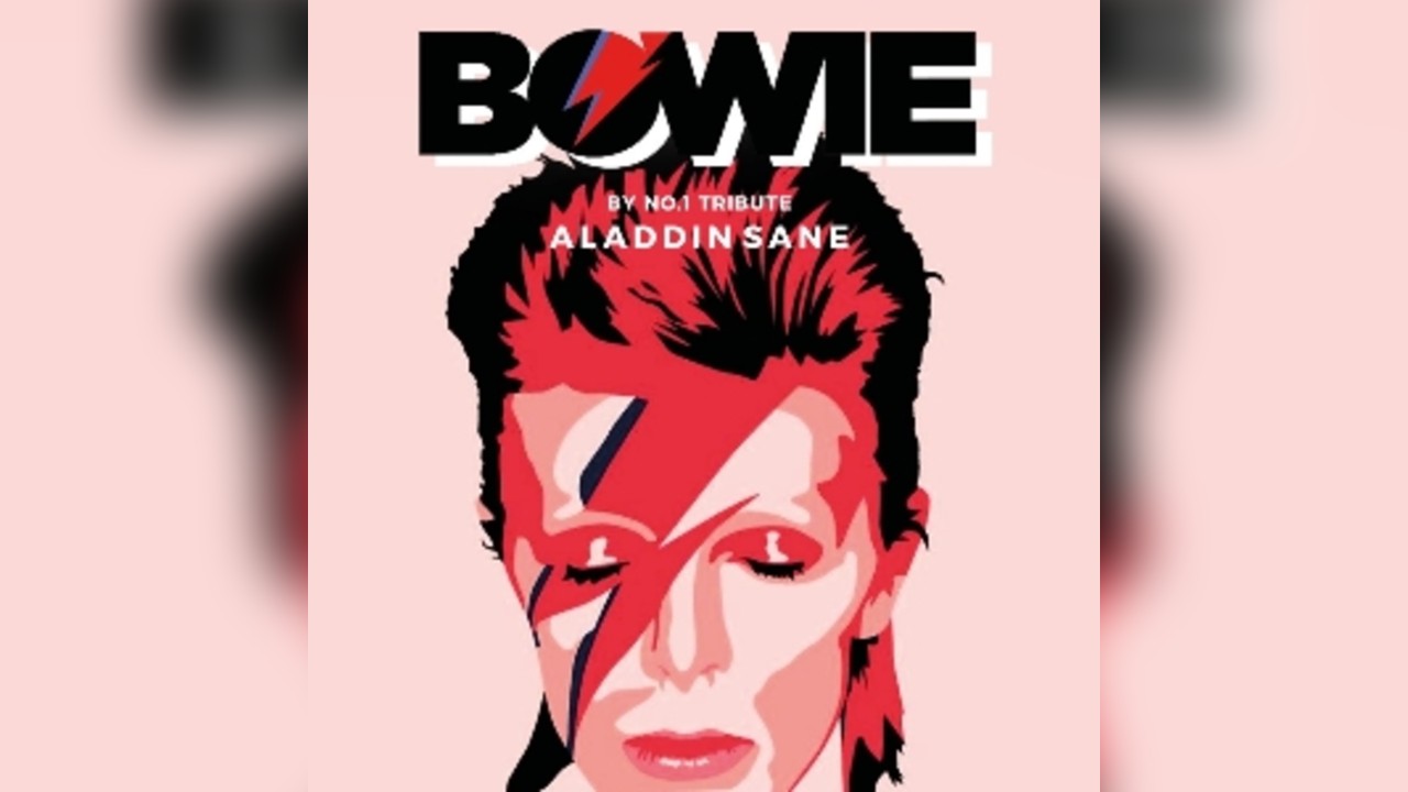 BOWIE BY ALADDINSANE