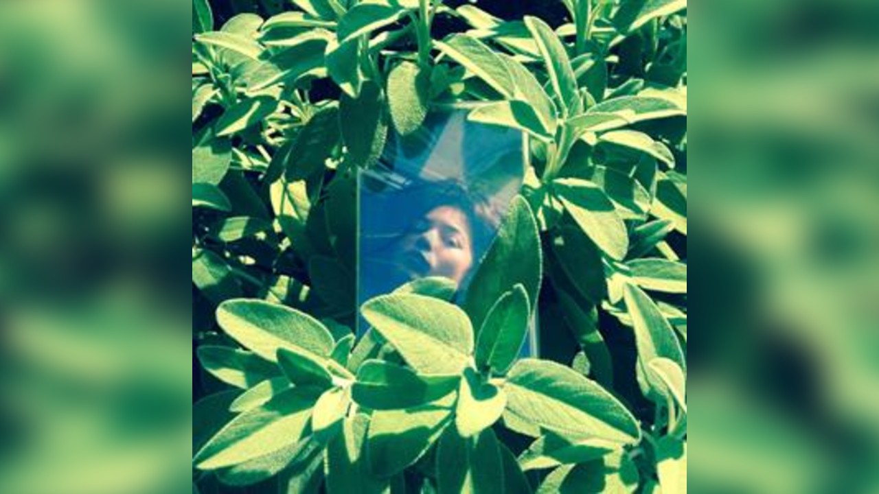 Radio Hito & Special Guests