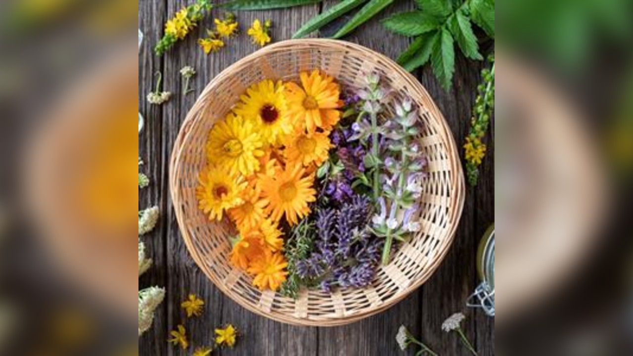 Flower Medicine: Making Flower Remedies
