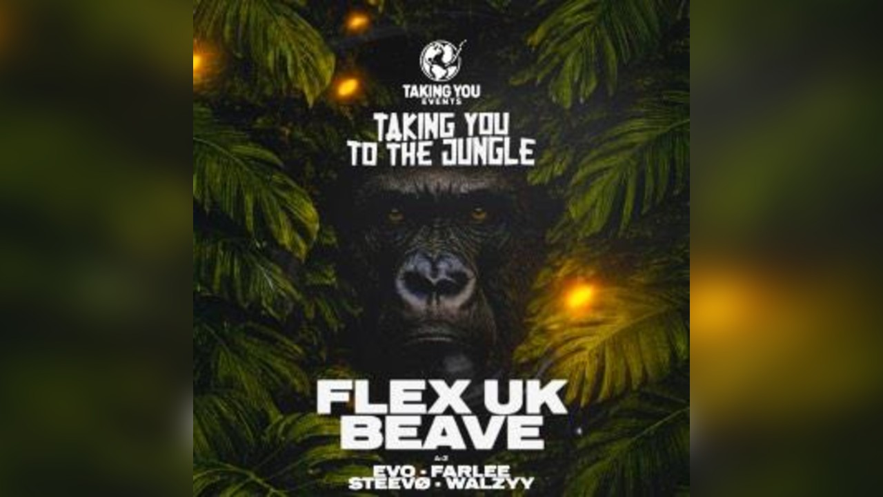 Taking You To The Jungle