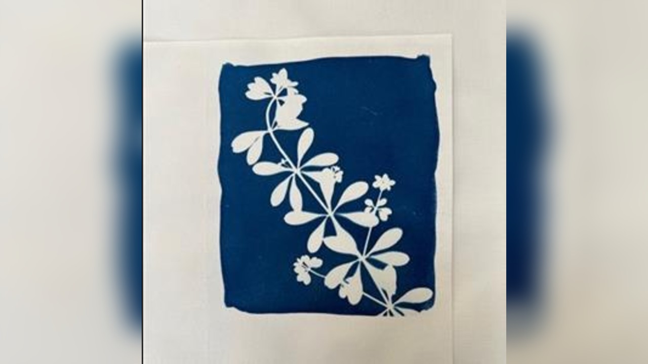 Cyanotype Printmaking For Beginners
