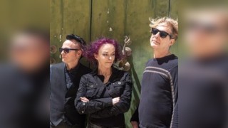 The March Violets