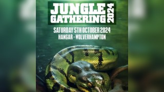 Jungle Gathering