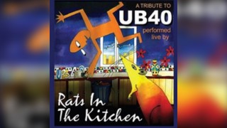 Rats In The Kitchen (Tribute to UB40)