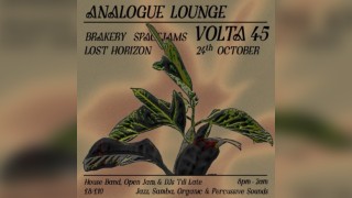 Analogue Lounge w/ Volta45