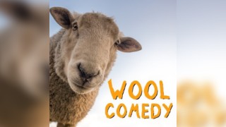 Wool Comedy at Tank St Helens