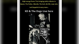 KD and The Dogs - Live Band