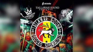 Reggae Soul Fest presents Tallawah Sound