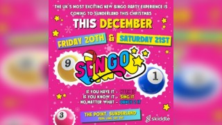 Singo Bingo Naughty 90's @ The Point - Sunderland