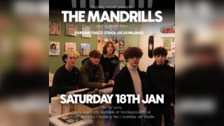 The Mandrills