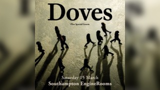 Doves