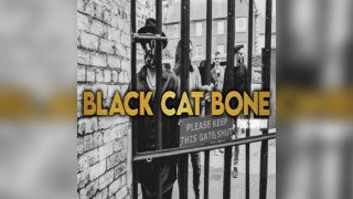 BLACK CAT BONE plus support