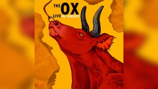 The Ox