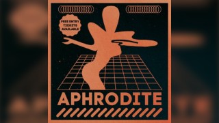 Cost of Raving - Aphrodite