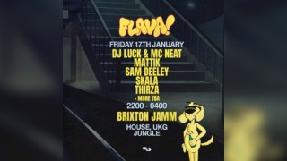 Jamm x Flava - DJ Luck & MC Neat, Mattik, Skala