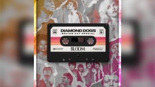 Diamond Dogs Boxing Day @ BLOOM