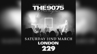 The 9075 // The world's first tribute to The 1975