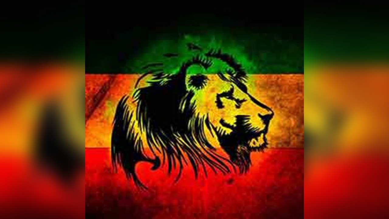 Reggae Night - Shirley