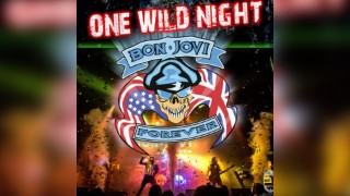 Bon Jovi Forever - One Wild Night