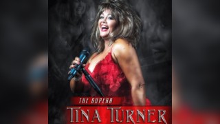 Tina Turner Tribute