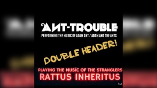 Rattus Inheritus / Ant Trouble Double Header