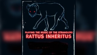 Rattus Inheritus play the music of The Stranglers live.