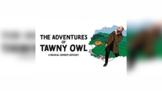 The Adventures of Tawny Owl