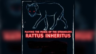 Rattus Inheritus play the music of The Stranglers @ SNCC, London