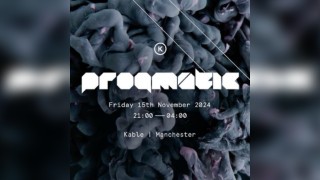 Progmatic