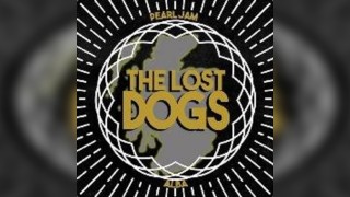 The Lost Dogs - Seattle / Grunge Rock Tribute