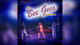 BEE GEES TRIBUTE NIGHT - Tributes In The Trees 2025