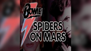 DAVID BOWIE TRIBUTE - SPIDERS on MARS