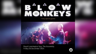 The Blow Monkeys