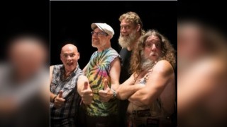 Hayseed Dixie