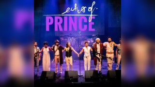 Echoes of Prince