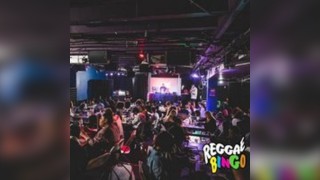 Reggae BINGO London - Fri 11th April