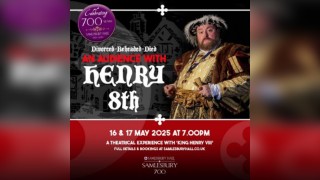 Divorced, Beheaded, Died: An Audience with King Henry VIII