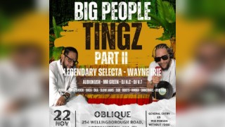 Big People Tingz - Part 2