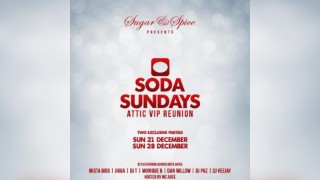 Soda Sunday's Attic VIP Reunion Part 1