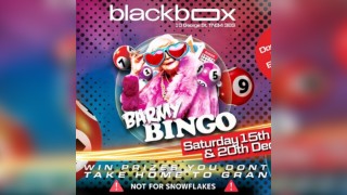 Barmy Bingo UK