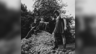 Plantoid + Fuzz Council