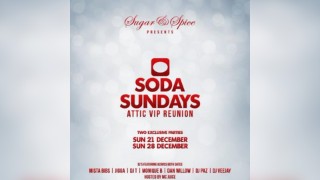 Soda Sunday's Attic VIP Reunion Part 2