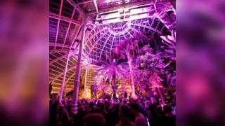 Seb Fontaine at The Palm House - Liverpool
