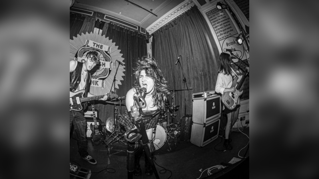 The Dollies