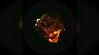 Amber's Presents Techno: Detroit Techno