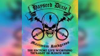 Hayseed Dixie
