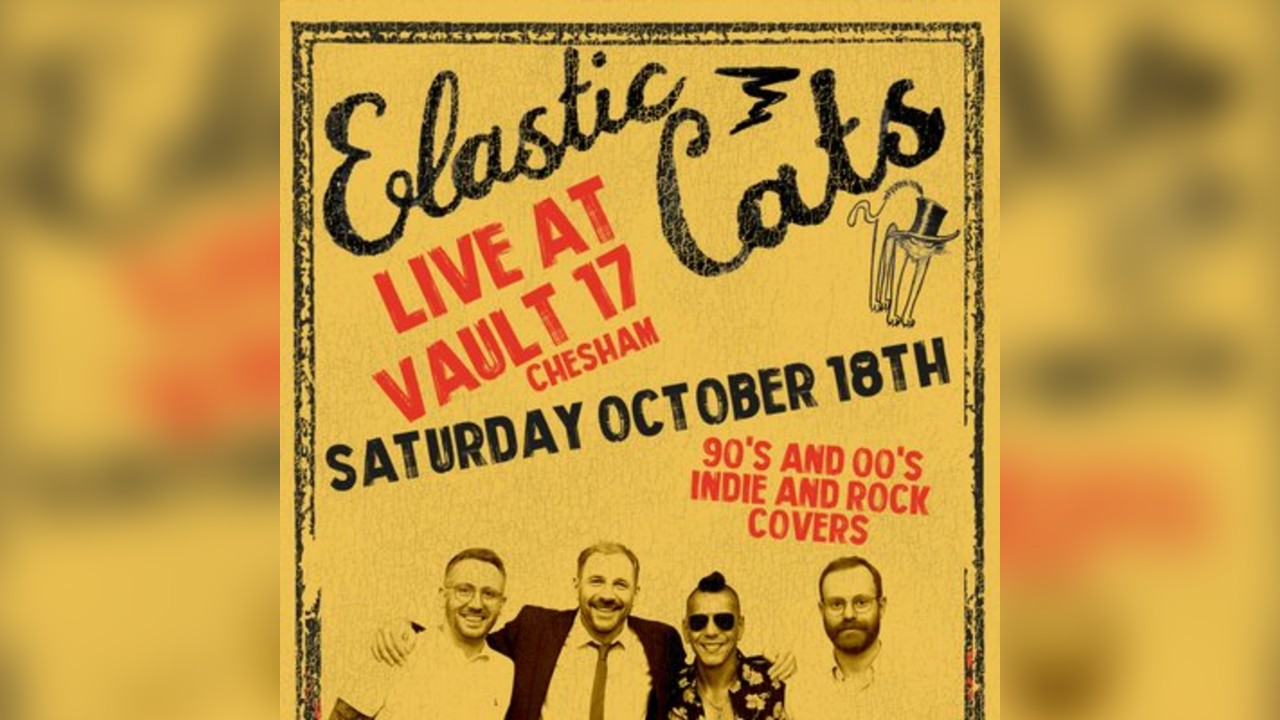 Elastic cats - FREE