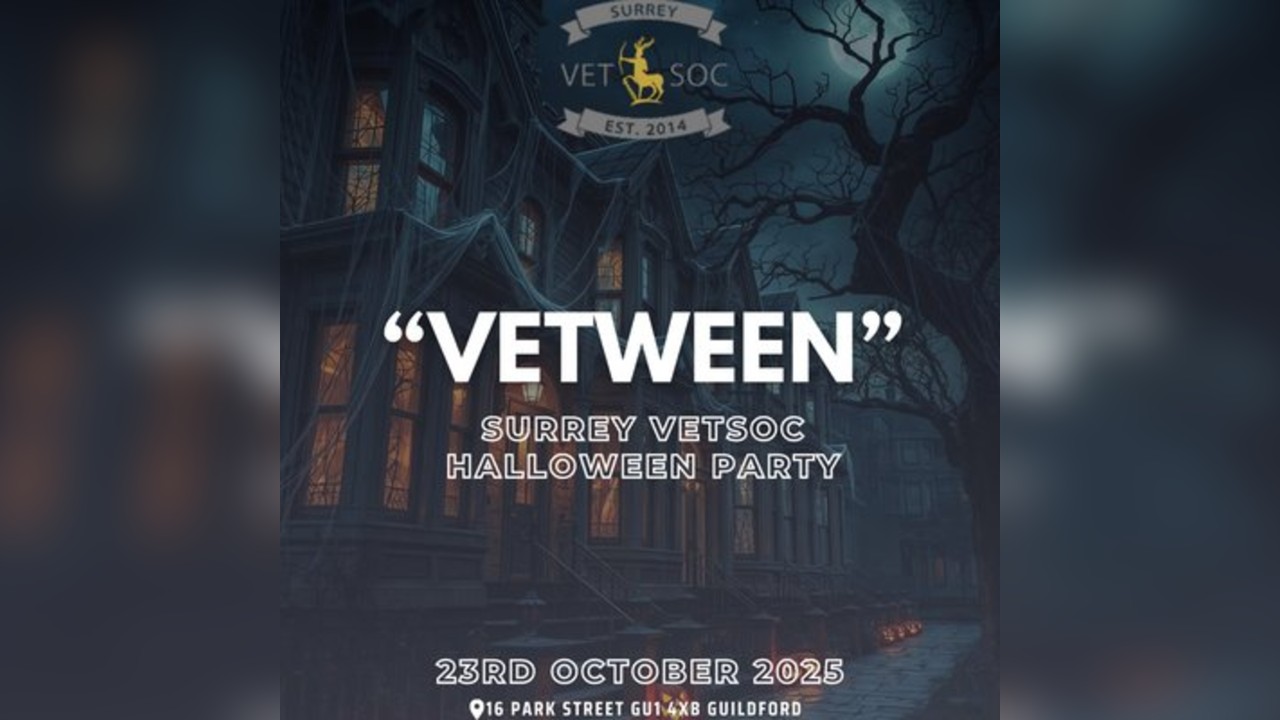 Vetween