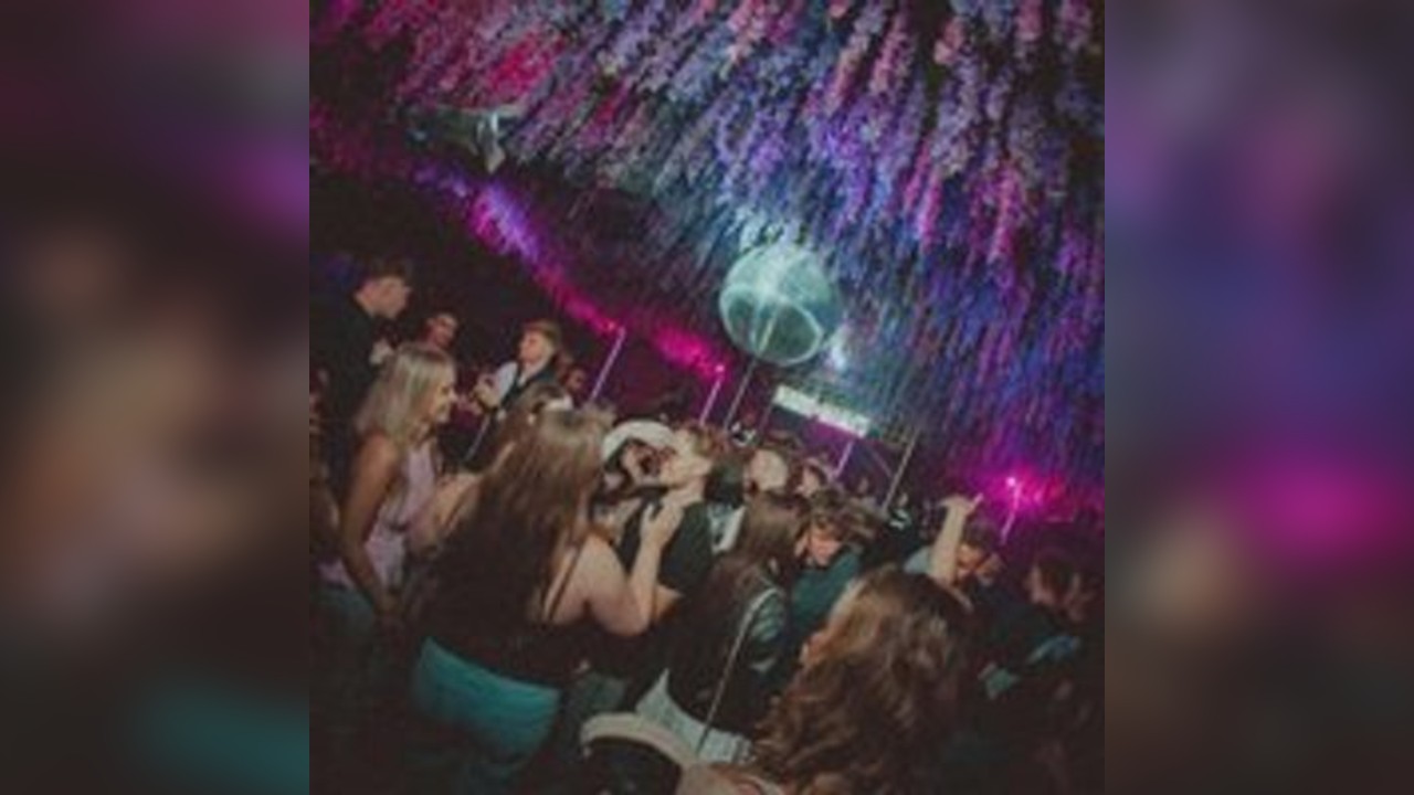 Mama's Friday w/ Altasoph All Night Long + Live Music
