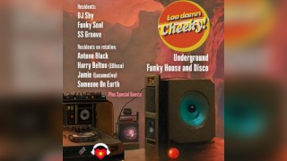 TOO DAMN CHEEKY @ Sunrooms